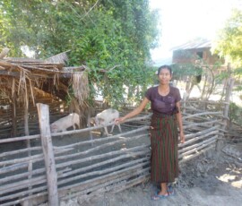 ၀မ်းတွင်းမြို့နယ် ကျောင်းကုန်းကျေးရွာတွင် အသင်းသားမှချေးငွေဖြင့် လုပ်ငန်းဆောင်ရွက်ထားရှိမှု